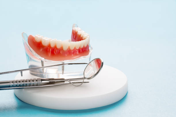 Best General Dentistry  in Shady Hills, FL